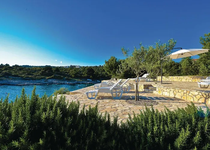 Awesome In Appartement